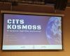 Cits kosmoss